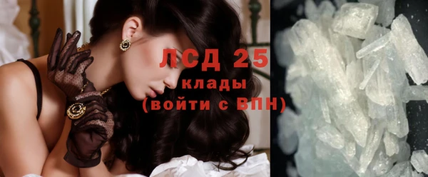 ПСИЛОЦИБИНОВЫЕ ГРИБЫ Абаза