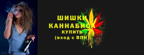 ПСИЛОЦИБИНОВЫЕ ГРИБЫ Абаза