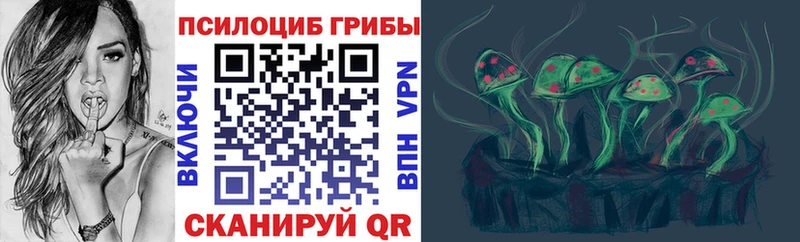 Галлюциногенные грибы Psilocybe  наркота  Янаул 