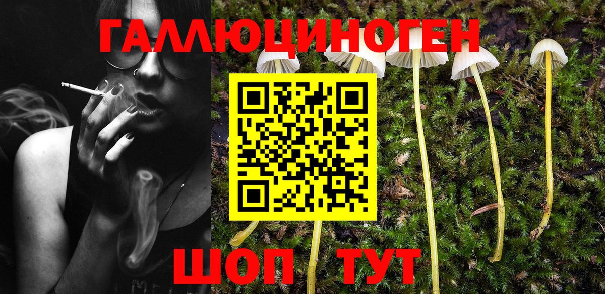 Псилоцибиновые грибы MAGIC MUSHROOMS Янаул